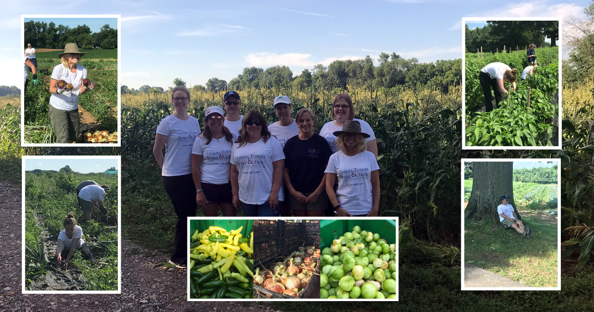 UTBF Volunteers Spend Morning Working at Pete's Produce ...