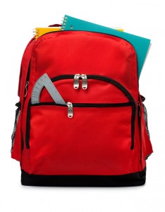 Backpack Isolated on a White Background